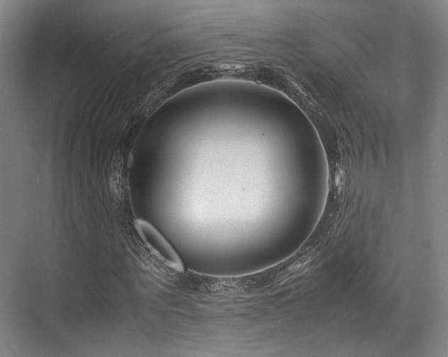 X0000075920867200609151452
