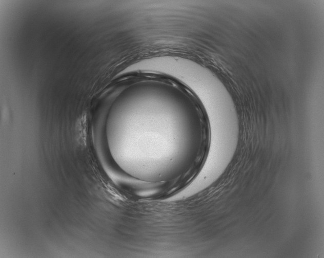 X0000075920868200609151452