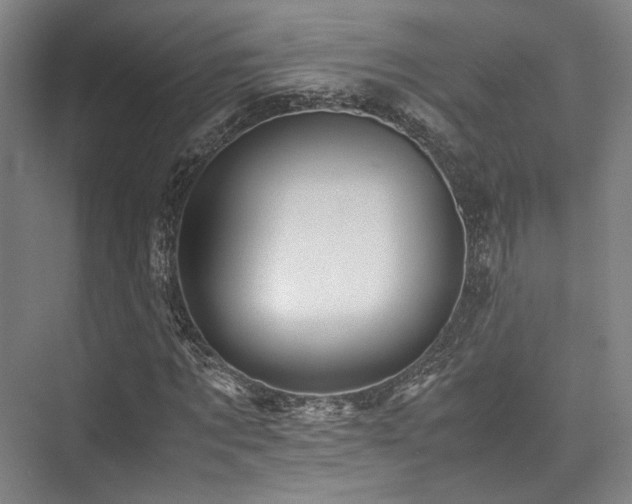X0000075920869200609151452
