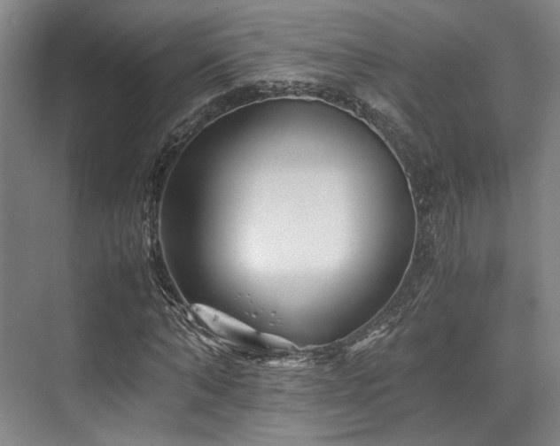 X0000075920870200609151452