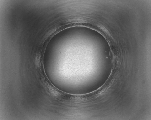 X0000075920873200609151452