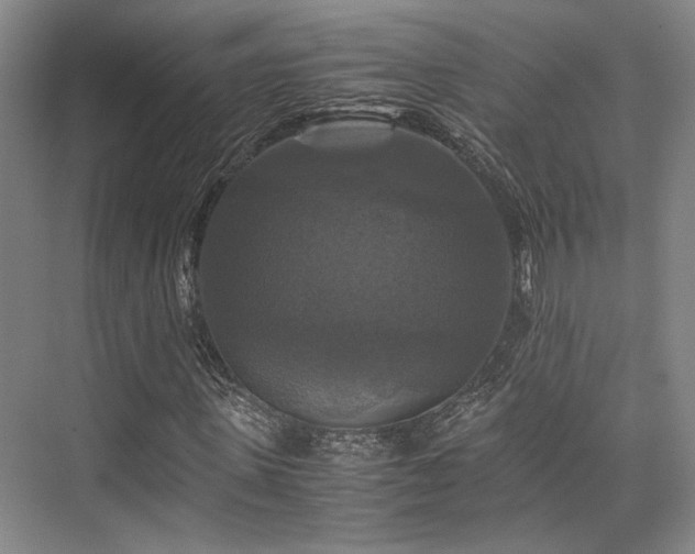 X0000075920915200609151451