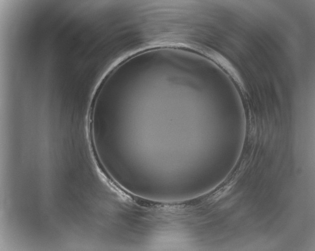 X0000075920958200609151451