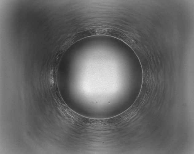 X0000075920962200609151450