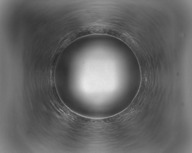X0000075920964200609151450