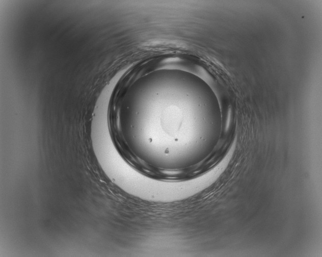 X0000075920965200609151450