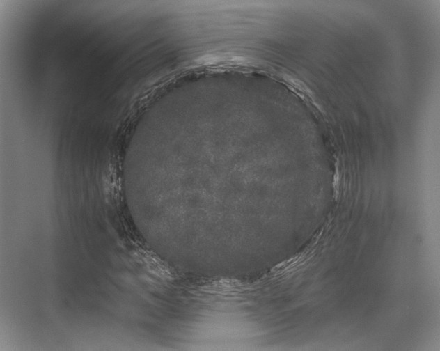 X0000075920966200609151450