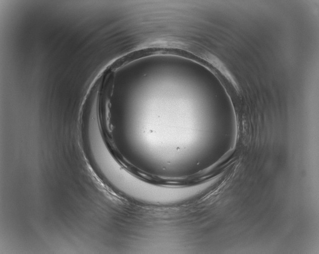 X0000075920972200609151450