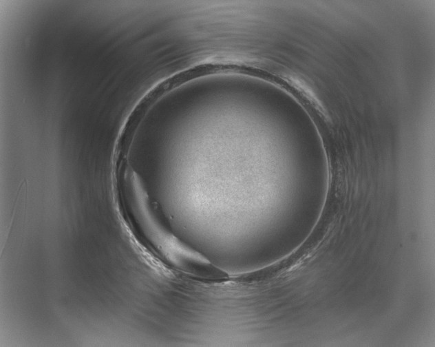 X0000075920976200609151450
