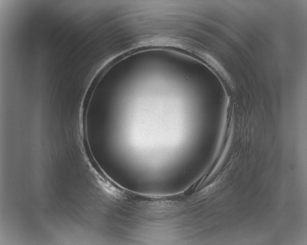 X0000075920988200609151450