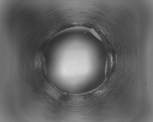 X0000075921012200609151449