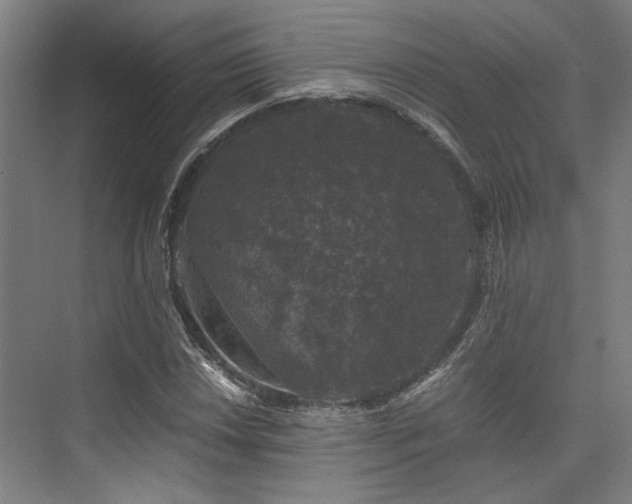 X0000075921018200609151449