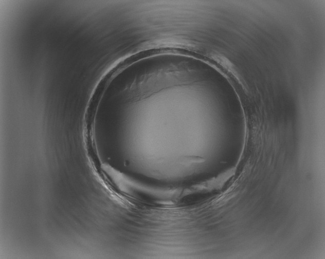 X0000075921024200609151449