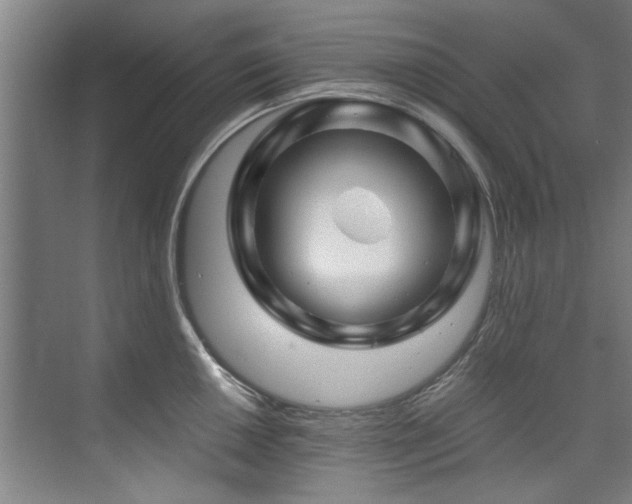 X0000075921050200609151450