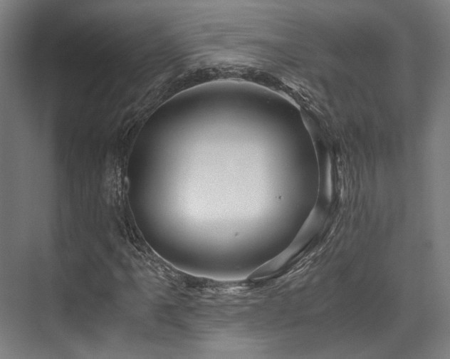 X0000075921061200609151449