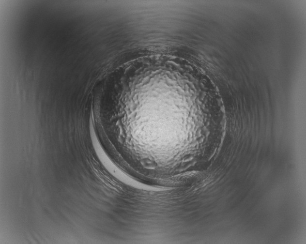 X0000075921106200609151447