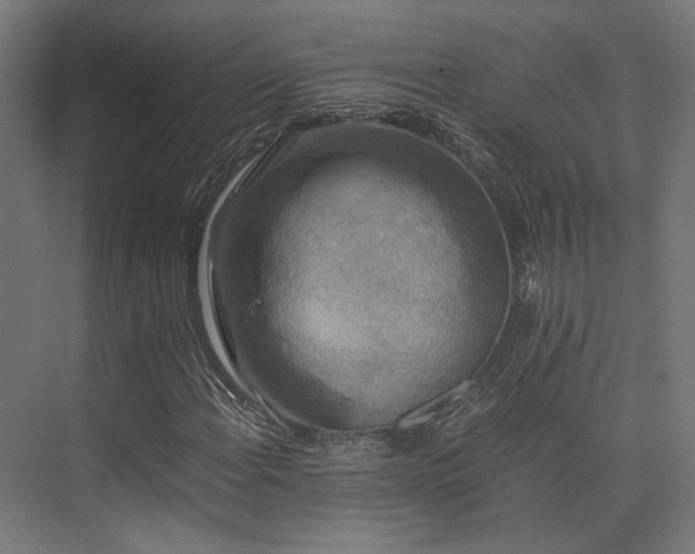 X0000075921108200609151447