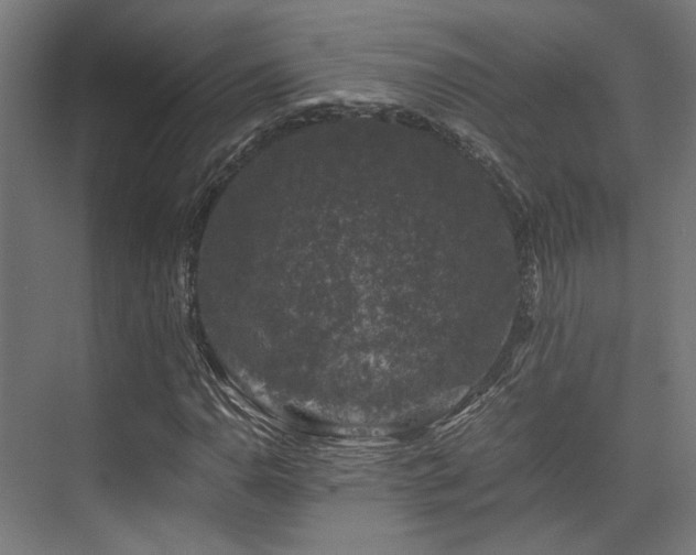 X0000075921110200609151447