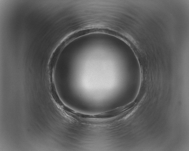 X0000075921118200609151447