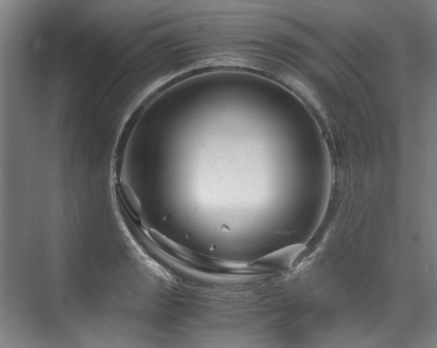 X0000075921133200609151448