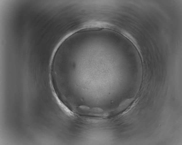 X0000075921152200609151448
