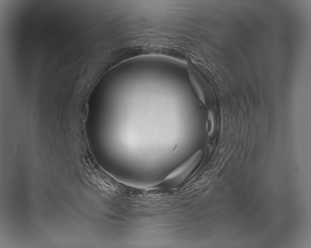 X0000075921153200609151447