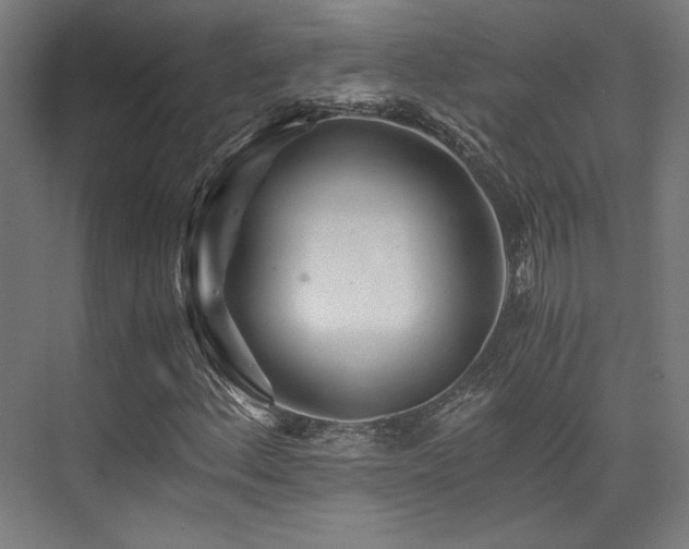 X0000075921156200609151447