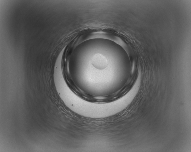 X0000075921157200609151447