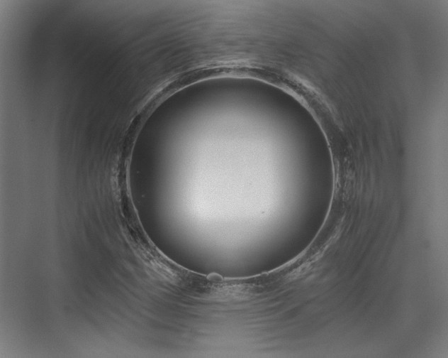 X0000075921162200609151447