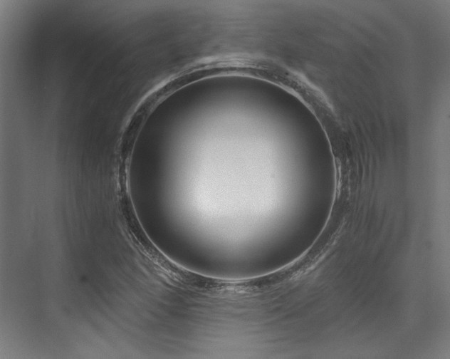 X0000075921166200609151447
