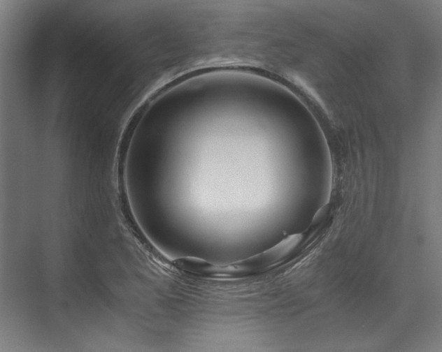 X0000075921173200609151447