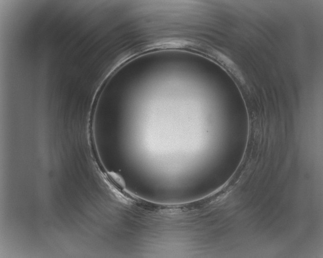 X0000075921186200609151447