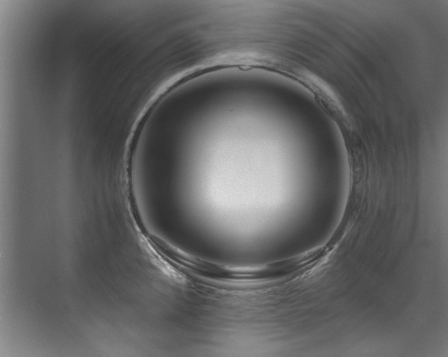 X0000075921192200609151447