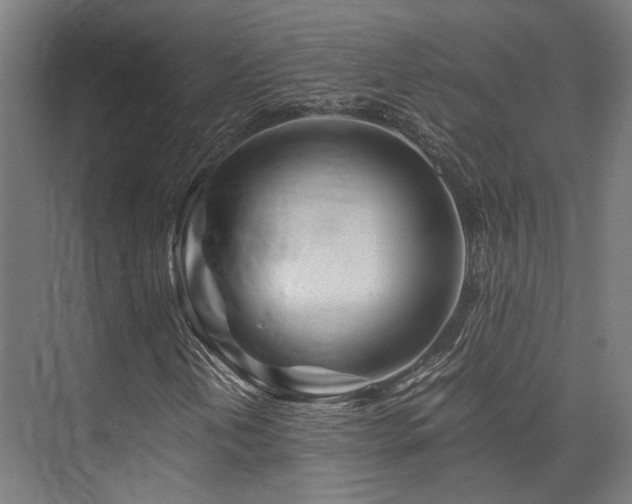 X0000075921202200609151446