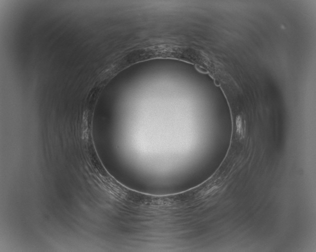 X0000075921203200609151446