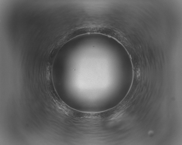 X0000075921204200609151446