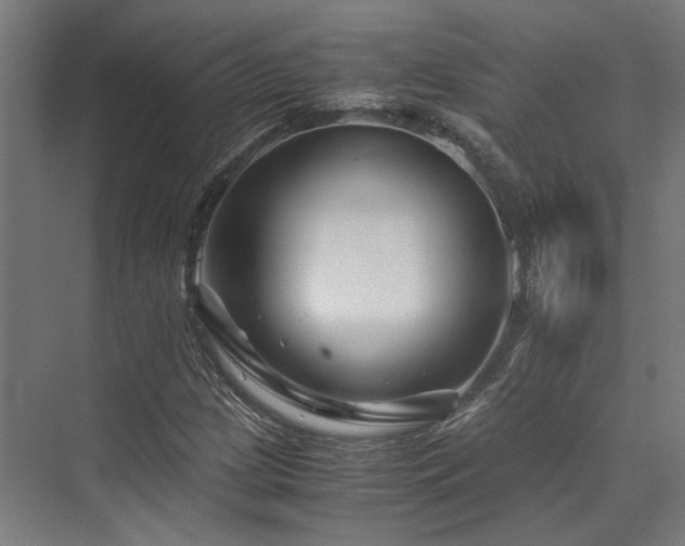 X0000075921209200609151446