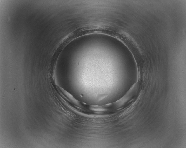 X0000075921210200609151446