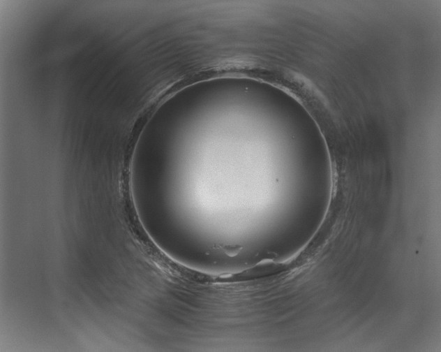 X0000075921217200609151446