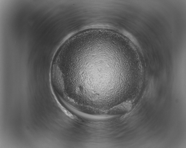 X0000075921237200609151446