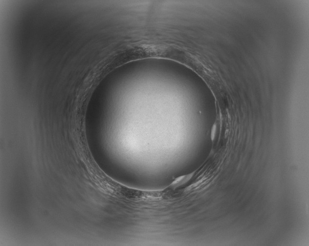 X0000075921249200609151446