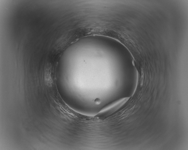 X0000075921250200609151446