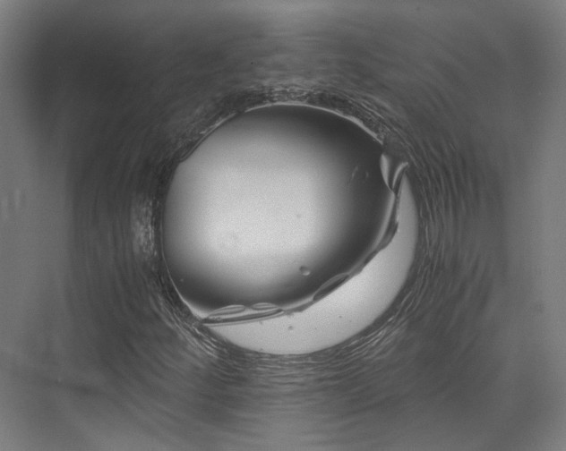 X0000075921252200609151446