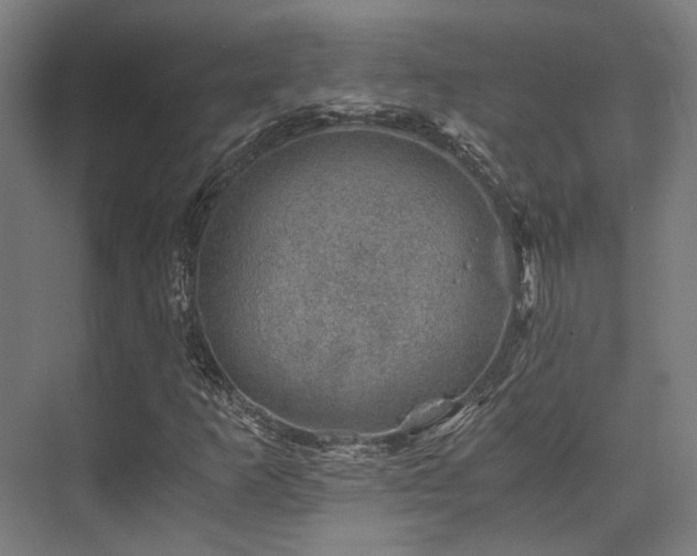X0000075921253200609151446