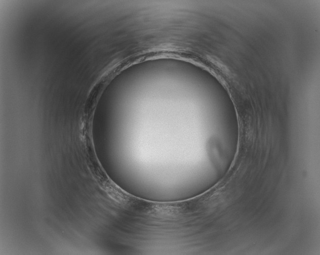 X0000075921258200609151445