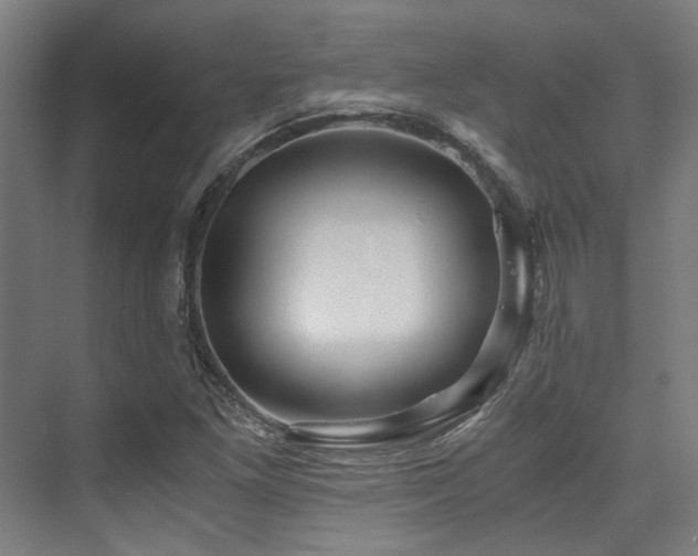 X0000075921261200609151445