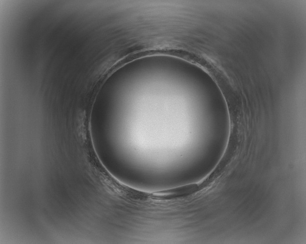 X0000075921265200609151445