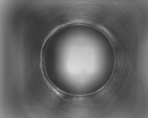 X0000075921286200609151445