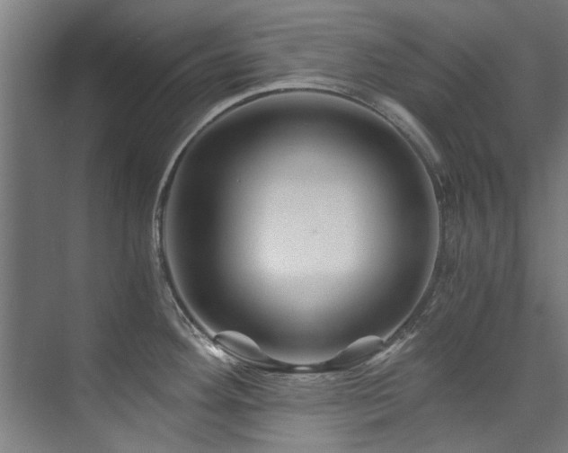 X0000075921292200609151445