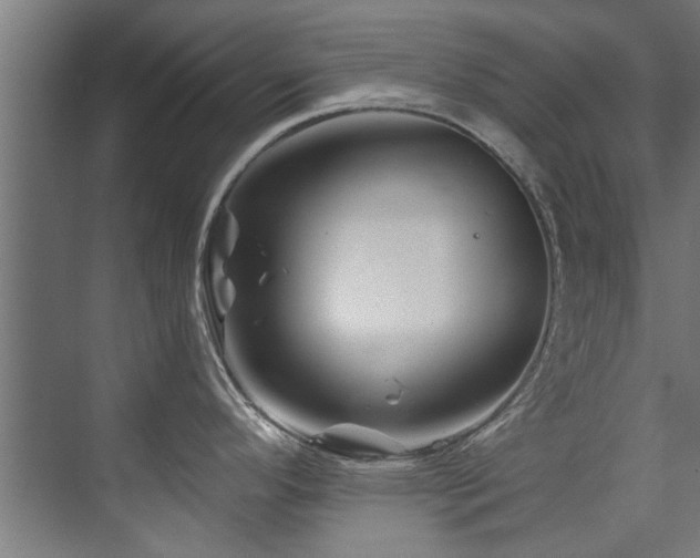 X0000075921296200609151445